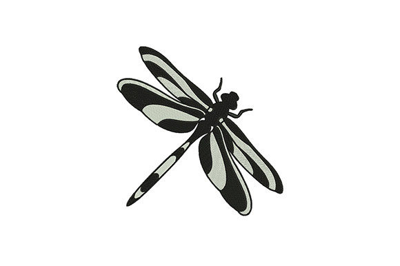 Colore Black Dragonfly: A Designer’s Review