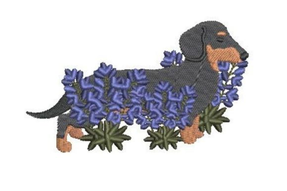 Dachshund Walking Through Bluebonnets: A Designer’s Review